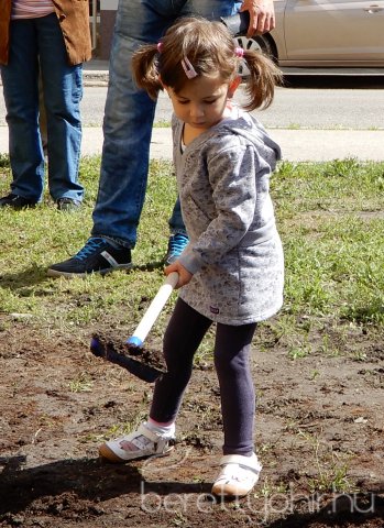 Életfát ültettünk 29